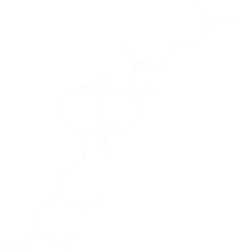 Vitamina D